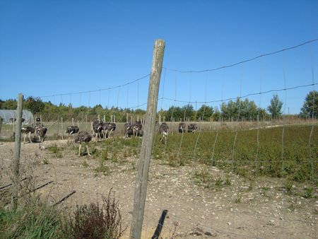 DSC09151.JPG