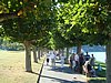 DSC09194.JPG